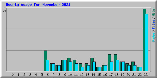 Hourly usage for November 2021