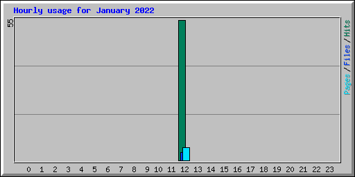 Hourly usage for January 2022